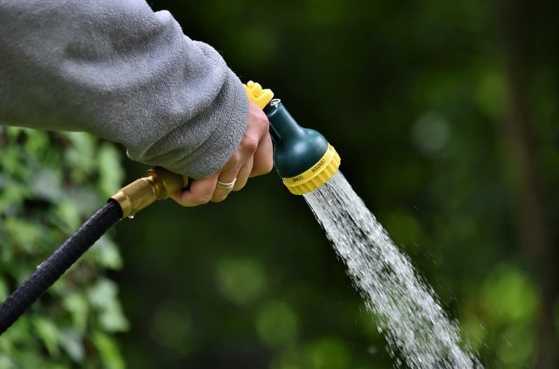 Self-Watering Systems